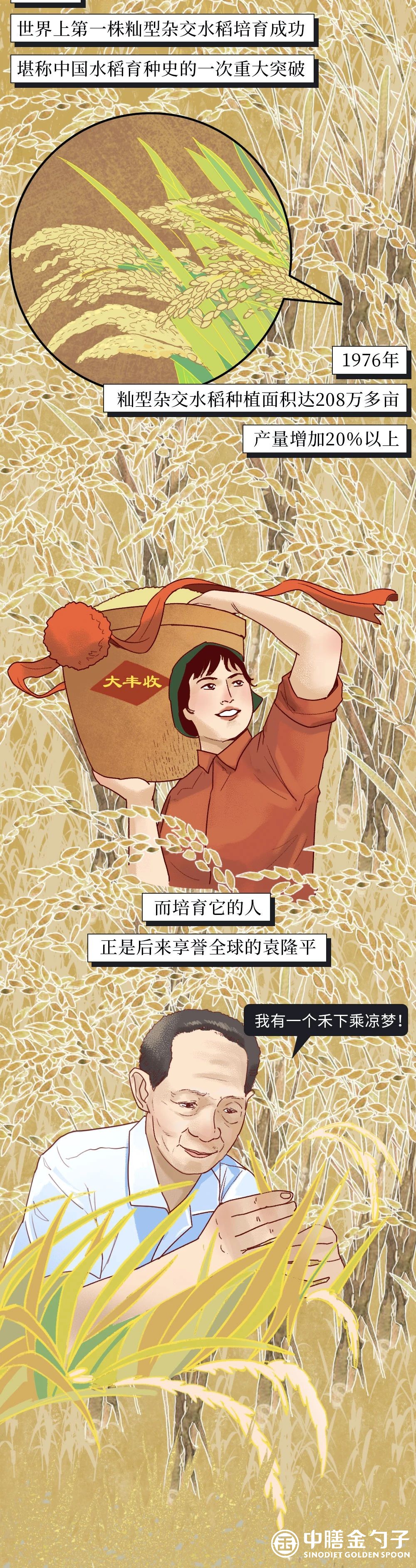 1634537542687900.jpg 8.jpg