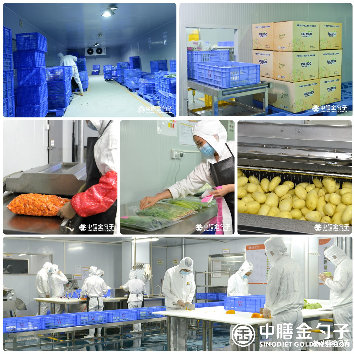 1649835679106968.jpg 迅捷圖片轉換器-2022413-1649829858756.jpg